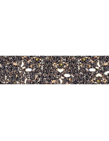 Manitoba Alta Germinazione 2,5 Kg