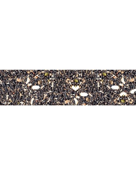 Manitoba Alta Germinazione 2,5 Kg