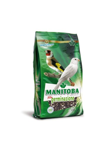 Manitoba Alta Germinazione 2,5 Kg
