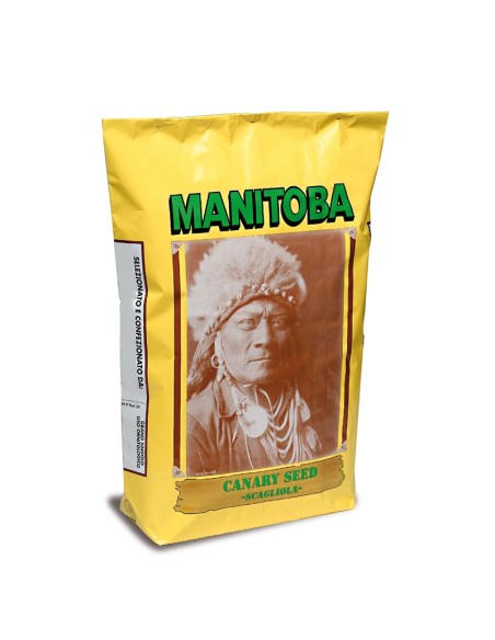 Manitoba Scagliola