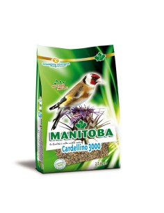 Manitoba Cardellino 3000
