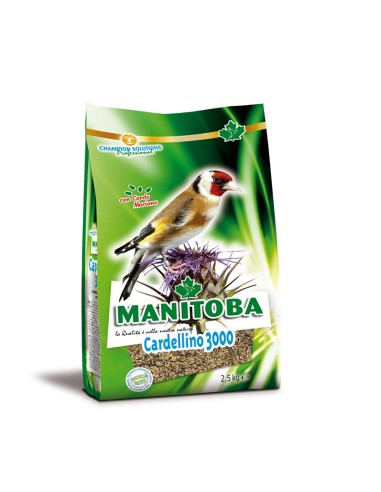 Manitoba Cardellino 3000