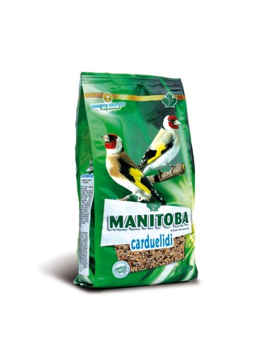 Manitoba Carduelidi