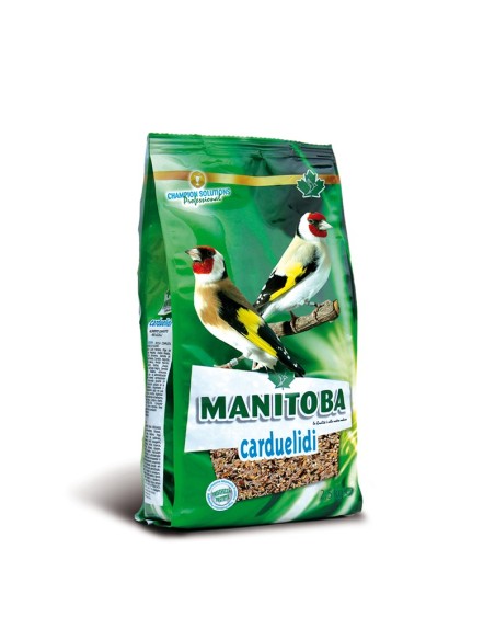 Manitoba Carduelidi