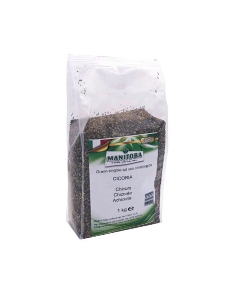 Manitoba Cicoria 1 Kg