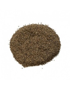 Manitoba Cicoria 1 Kg 2