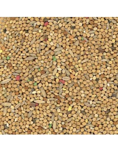 Manitoba Cocorite Biscuit 20 Kg 2
