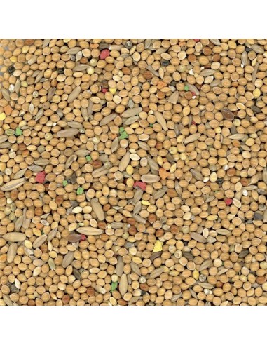 Manitoba Cocorite Biscuit 20 Kg