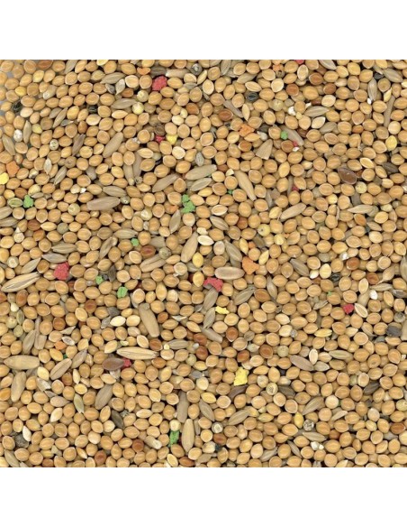 Manitoba Cocorite Biscuit 20 Kg
