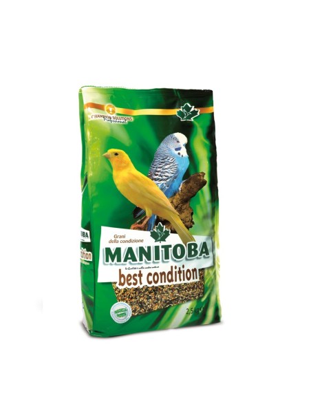 Manitoba Best Condition 2,5 Kg