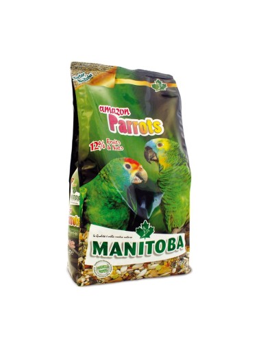Manitoba Amazon Parrot 2 Kg