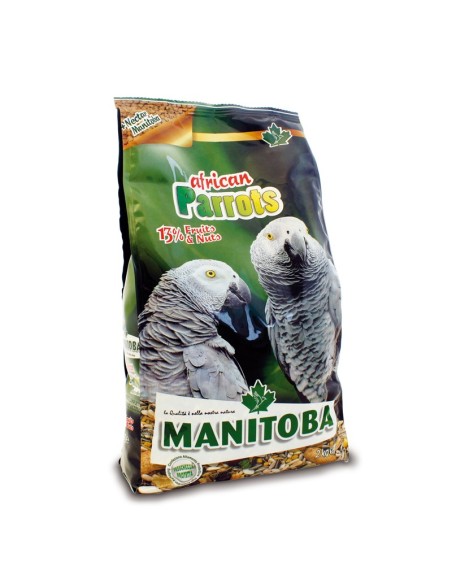 Manitoba African Parrot 2 Kg