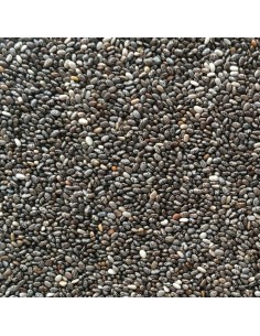 Manitoba Chia Hispanica 1 Kg 2