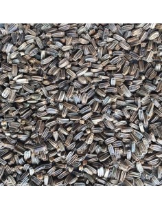 Manitoba Cardo Selvatico 500 gr 2