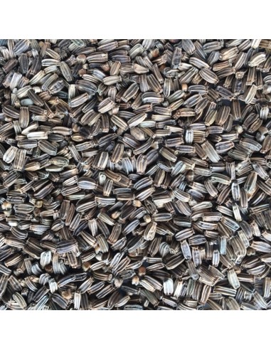 Manitoba Cardo Selvatico 500 gr