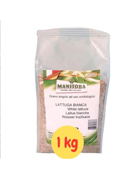 Manitoba Lattuga Bianca 1 KG