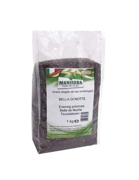 Manitoba Bella di notte 1 Kg
