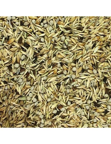 Blattner miscela base 2,5 Kg
