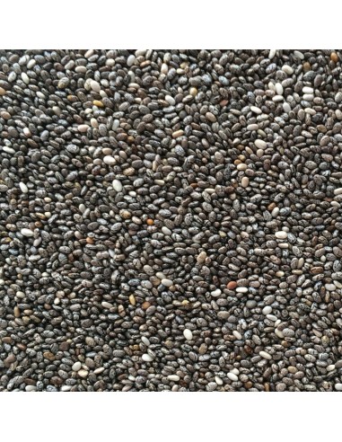 Blattner Chia 1 Kg