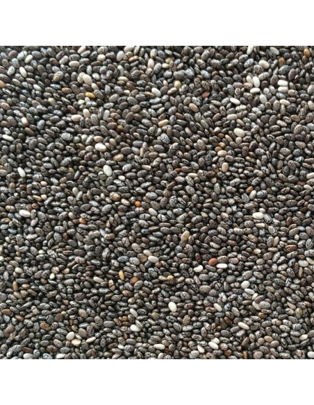 Blattner Chia 1 Kg