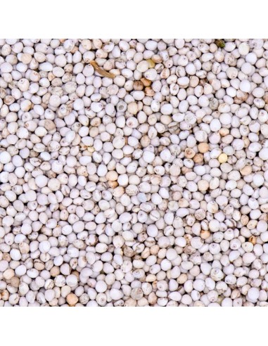 Blattner Perilla Bianca 1 Kg