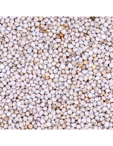 Blattner Perilla Bianca 1 Kg