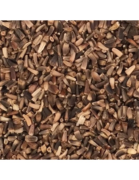 Blattner Cicoria 1 Kg