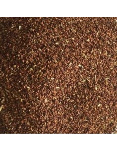 Blattner Bella di notte 1 Kg