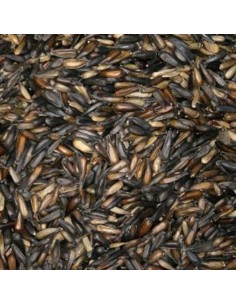 Blattner Girasole micro 1 Kg