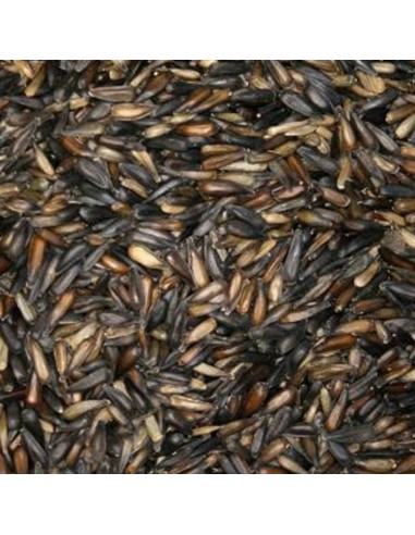 Blattner Girasole micro 1 Kg