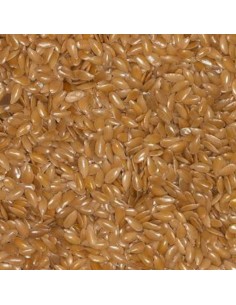 Blattner Lino Biondo 1 Kg