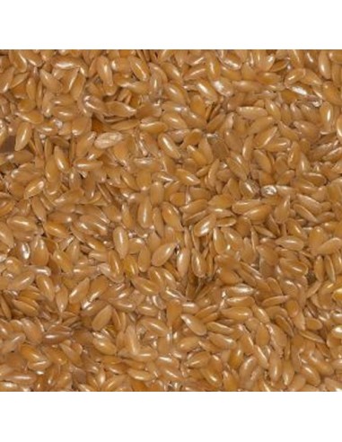 Blattner Lino Biondo 1 Kg