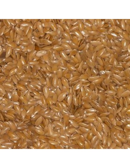 Blattner Lino Biondo 1 Kg