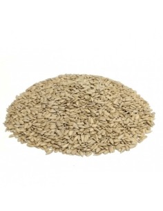 Blattner Girasole decorticato 1 Kg
