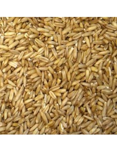Blattner Avena decorticata 1 Kg