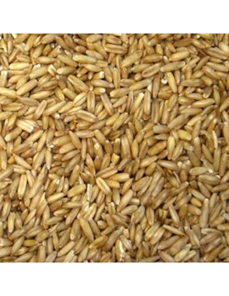 Blattner Avena decorticata 1 Kg