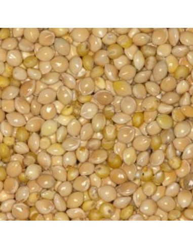 Blattner Miglio bianco 1 Kg