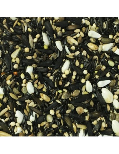 Blattner Germoglio Carduelidi 2,5 Kg