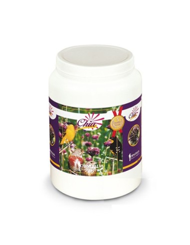 Ornitalia Chia 1 Kg