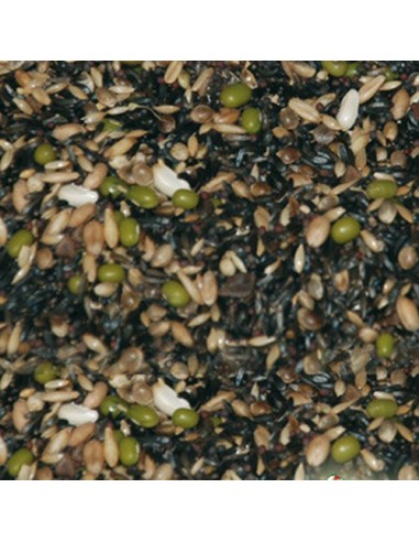 Ornitalia Greg germinabile canarini 5 Kg