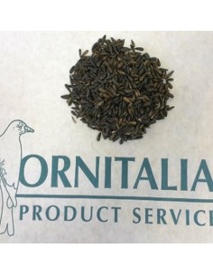 Ornitalia Girasole Piccolissimo 1 Kg