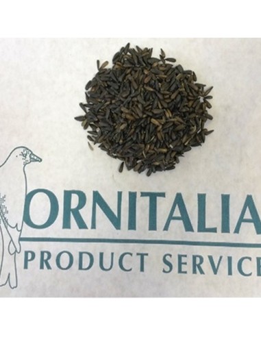 Ornitalia Girasole Piccolissimo 1 Kg