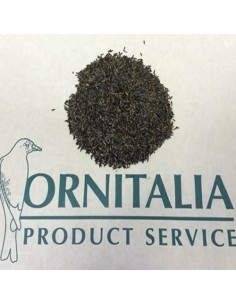 Ornitalia Niger germinabile 1 Kg
