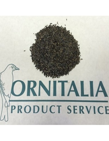 Ornitalia Niger germinabile 1 Kg