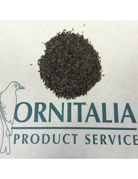 Ornitalia Niger germinabile 1 Kg