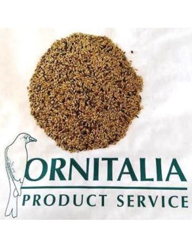 Ornitalia Canarini Extra 5 semi 20 Kg