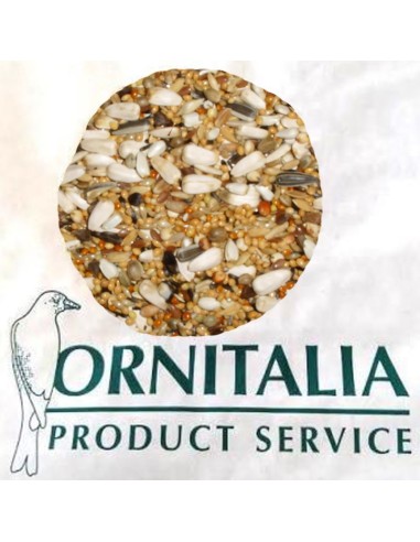 Ornitalia Parrocchetto con girasole 20 Kg