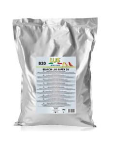 LUS B20