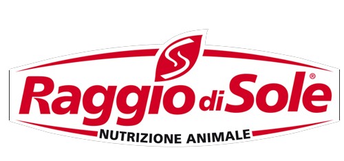 Raggio di sole