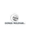 Domus Molinari